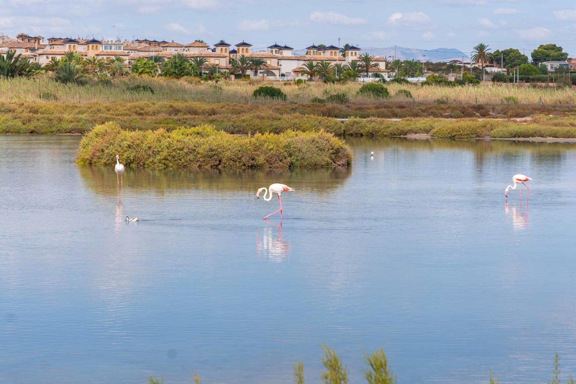 Menabrea Holiday House Near The Beach And Airport Santa Pola Eksteriør bilde